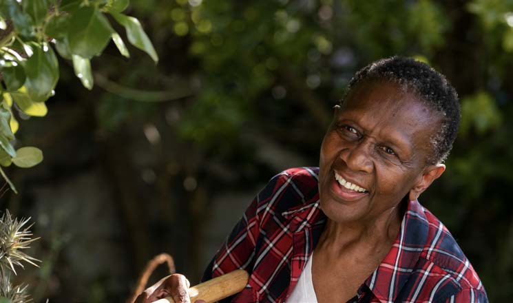 Manual da Marca REMA.jpeg